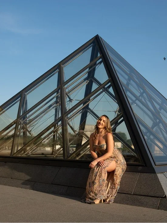 Windsor Beige Sheer Dress with Blue Floral Embroidery - Picture 4 of 5